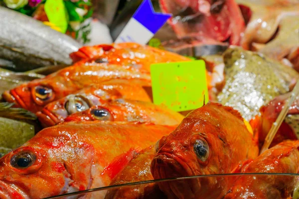 鱼在法国市场上出售 — 图库照片