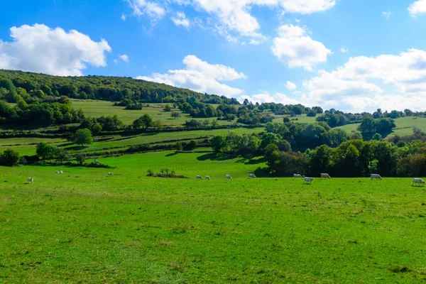 Countryside in Cote dOr, Burgundy — Stock Photo, Image