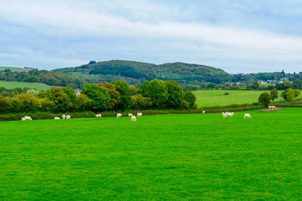 Morvan dağlarda kırsal