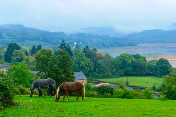 Platteland in de bergen van Morvan — Stockfoto