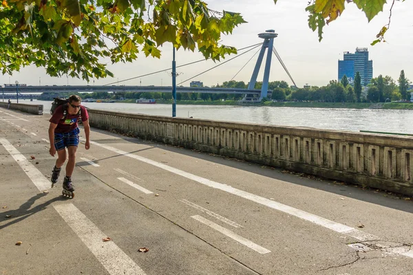 Tuna Nehri ve Bratislava Snp Köprüsü