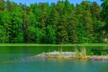 Vartiosaari Island, Helsinki