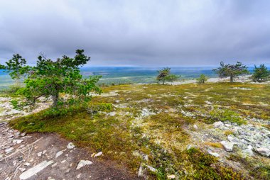Ukko-Luosto Fell, Pyha-Luosto Ulusal Parkı
