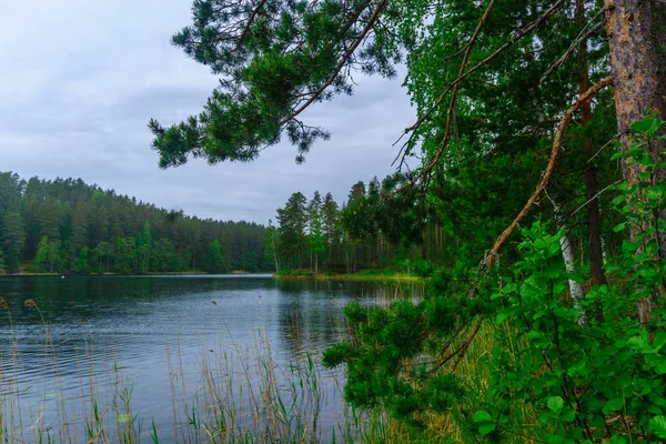 Landschap van meren en bos langs de bergkam Punkaharju — Stockfoto