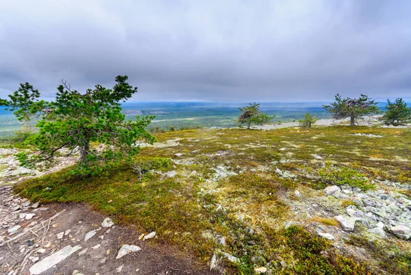 Ukko-Luosto Fell, in Nationaal Park Pyha-Luosto — Stockfoto