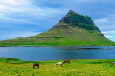 Kirkjufell dağın Snaefellsnes Yarımadası'nda