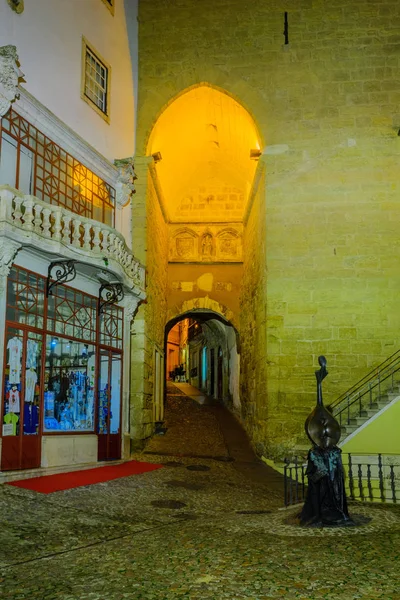 Almedina arch ve kulede Coimbra — Stok fotoğraf