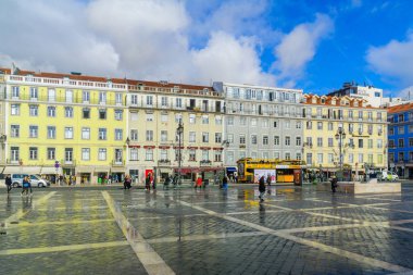 Figueira Lizbon'da kare