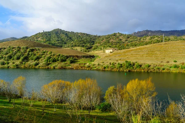 Kırsal ve Douro nehir ve Vadisi — Stok fotoğraf