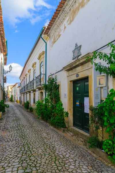 Alley en de oude synagoge, in Tomar — Stockfoto