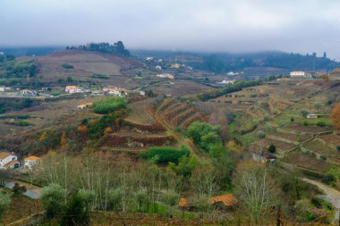 Kırsal ve üzüm bağları Douro Valley