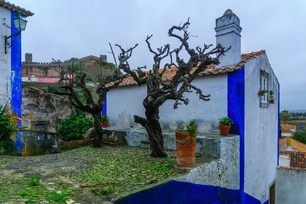 Case tipiche e le mura, a Obidos — Foto Stock