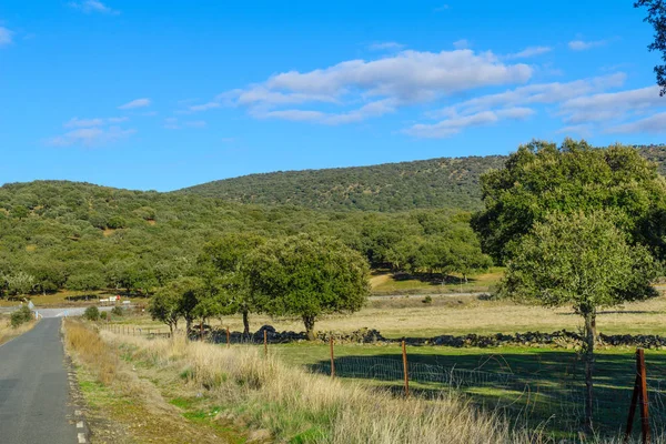 Landschap en natuur in Extremadura — Stockfoto