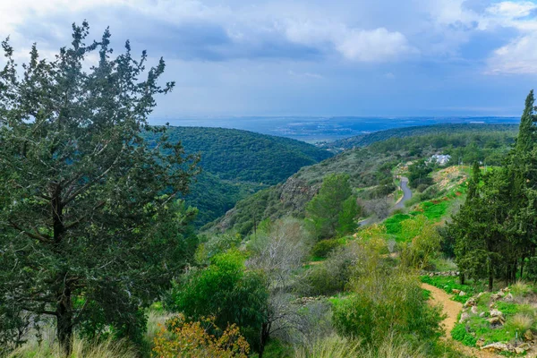 Yehiam Stream i västra övre Galiléen — Stockfoto