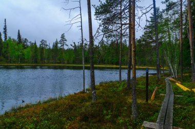 Oulanka National Park, Finland clipart