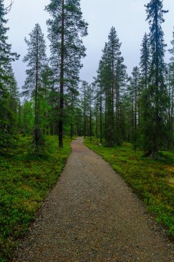 Rykimakero iz, Pyha-Luosto Milli Parkı'nda