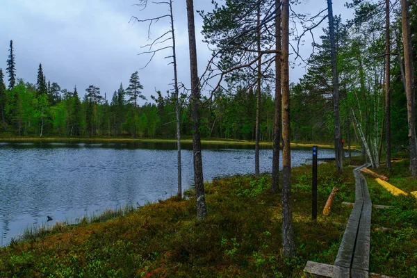 Parc national d'Oulanka, Finlande — Photo