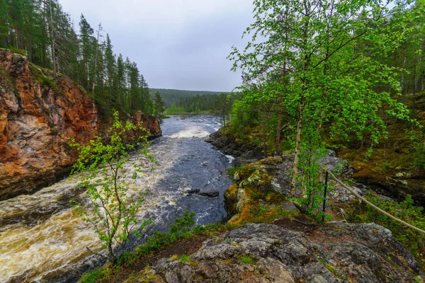 Kiutakongas-stroomversnellingen in het Oulanka Nationaal Park — Stockfoto
