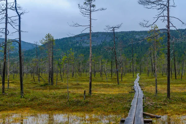 Tunturiaapa Trail, in Pyha-Luosto National Park — Stockfoto