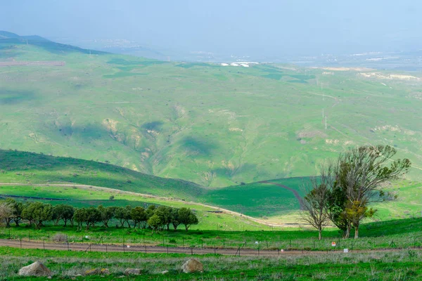 Paisaje del arroyo Tabor — Foto de Stock