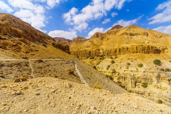 Paesaggio nella Riserva Naturale di Ein Gedi — Foto Stock