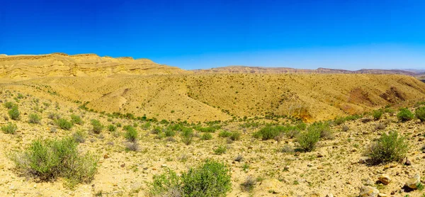 Paisaje panorámico de HaMakhtesh HaGadol — Foto de Stock