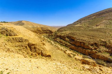 Mamshit Vadisi Negev Çölü'nde