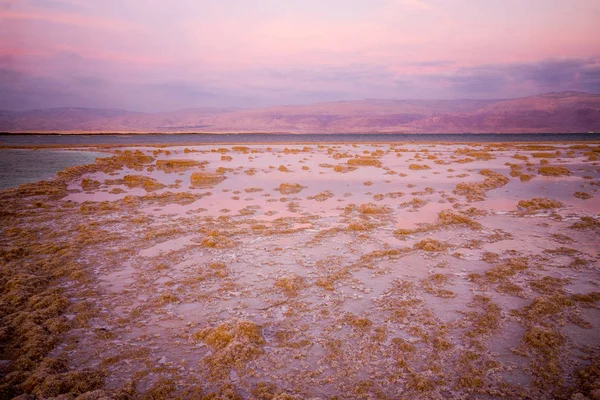 Вид на закат солевых образований в Мертвом море — стоковое фото