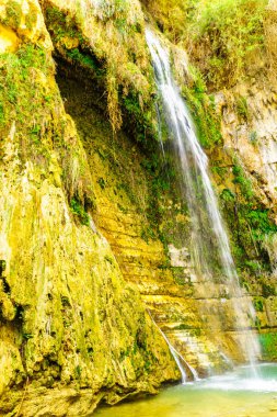 Ein Gedi Doğa Koruma Alanında David Şelalesi