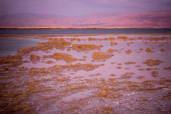 Sonnenuntergang Blick auf Salzformationen im Toten Meer — Stockfoto