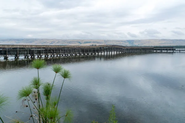 Pont flottant sur le lac, dans la réserve naturelle de Hula — Photo