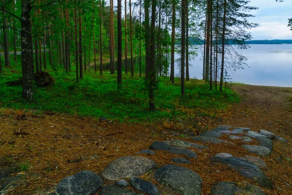 Paisaje de lagos y bosques a lo largo de la cresta Punkaharju — Foto de Stock