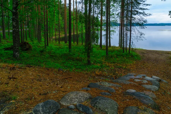 Lanskap danau dan hutan sepanjang punggung bukit Punkaharju — Stok Foto