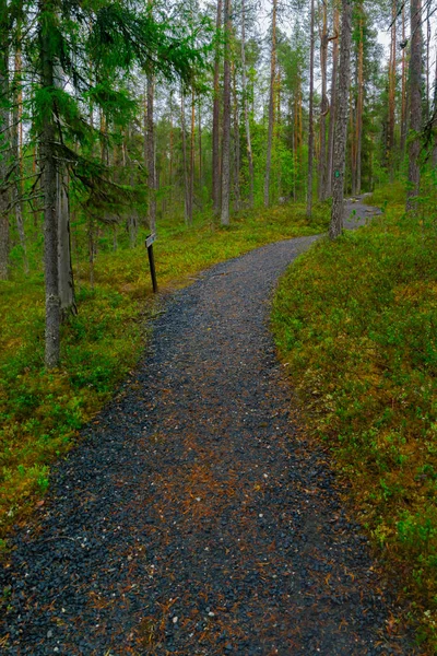 Parco nazionale di Oulanka, Finlandia — Foto Stock
