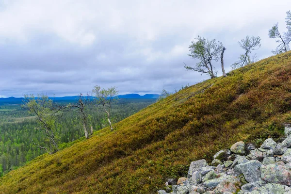 Ukko-Luosto Fell, in Nationaal Park Pyha-Luosto — Stockfoto