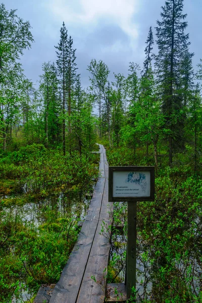 Tunturiaapa Trail, nel Parco Nazionale di Pyha-Luosto — Foto Stock