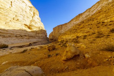 Ein Avdat Milli Parkı Kanyonu, Negev Çölü
