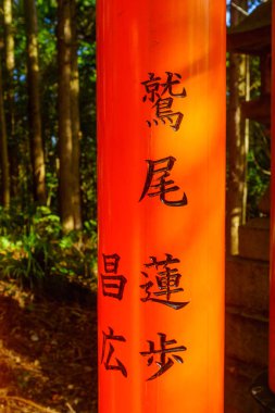 Torii kapılarına, Inari dağına, Kyoto 'ya bağış.