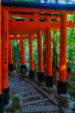 Torii kapıları, Kyoto 'daki Inari dağı.