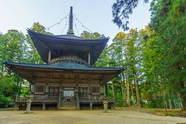 Complejo del Templo Sagrado Danjo Garan, en el Monte Koya (Koyasan ) — Foto de Stock
