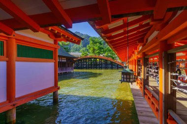 Miyajima 'daki Itsukushima Tapınağı.