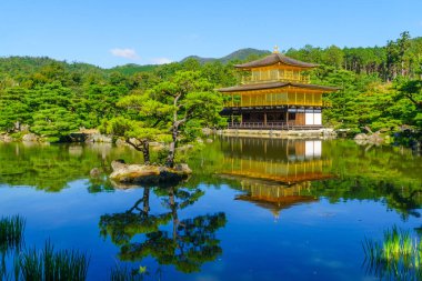Altın Pavyon, Kinkakuji, Kyoto 'da