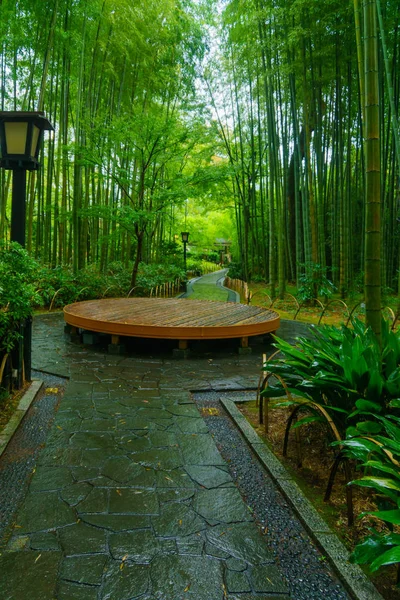 Pequena floresta de bambu, em Shuzenji — Fotografia de Stock