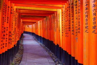 Torii kapıları, Kyoto 'daki Inari dağı.