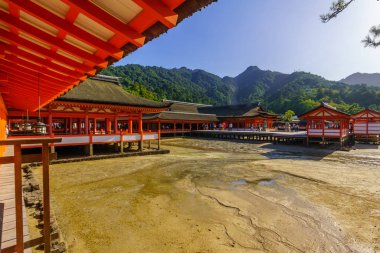 Miyajima 'daki Itsukushima Tapınağı.