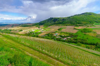 Beaujolais, Fransa'da üzüm bağları ve kırsal