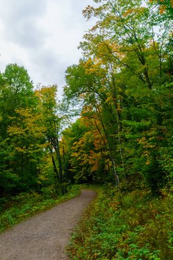 Mont Tremblant National Par'da patika ve sonbahar yaprakları renkleri