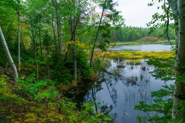 Ingonish strand, in het Cape Breton Highlands National Park — Stockfoto