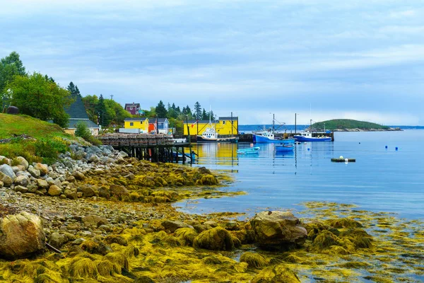 Northwest Cove, Nova Scotia — ストック写真