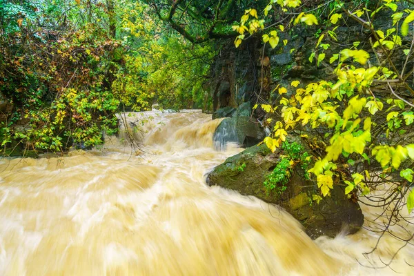 Strong winter waterflow in the Banias River — Stock Photo, Image